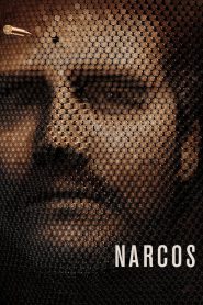 Narcos PL