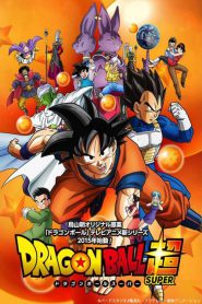 Dragon Ball Super PL