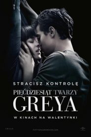 Pięćdziesiąt twarzy Greya 2015 PL