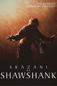 Skazani na Shawshank 1994 PL