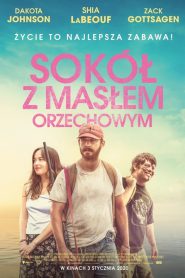 Sokół z masłem orzechowym 2019 PL