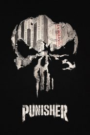 Marvel: Punisher PL