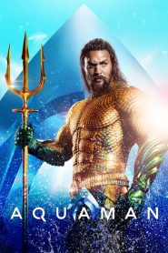 Aquaman 2018 PL