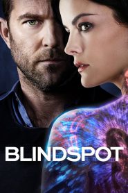 Blindspot: Mapa zbrodni PL