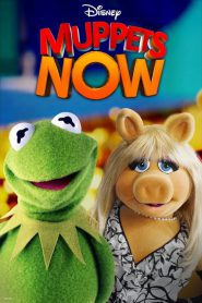 Muppets Now PL