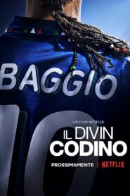 Roberto Baggio: Boski Kucyk PL