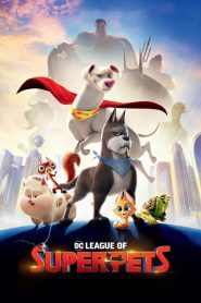 DC Liga Super-Pets