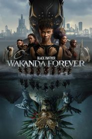 Czarna Pantera: Wakanda w moim sercu